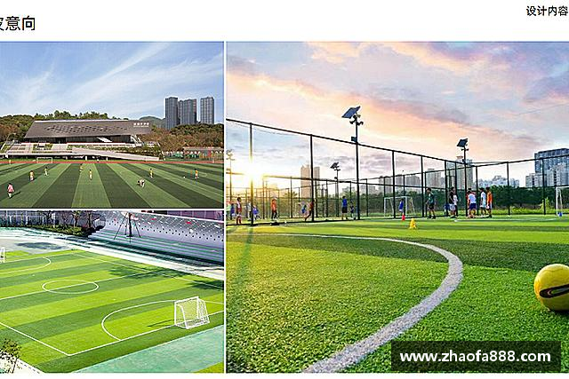 解读星空·综合体育